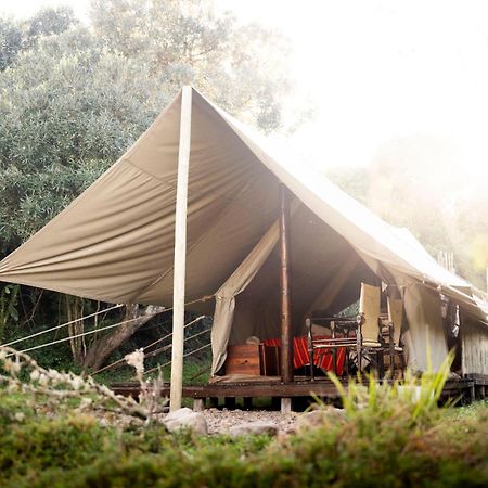 Quatermain'S 1920'S Safari Camp - Reserva de Amakhala Exterior foto
