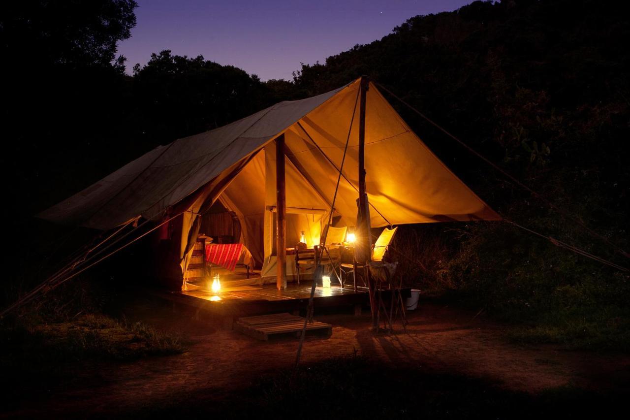 Quatermain'S 1920'S Safari Camp - Reserva de Amakhala Exterior foto