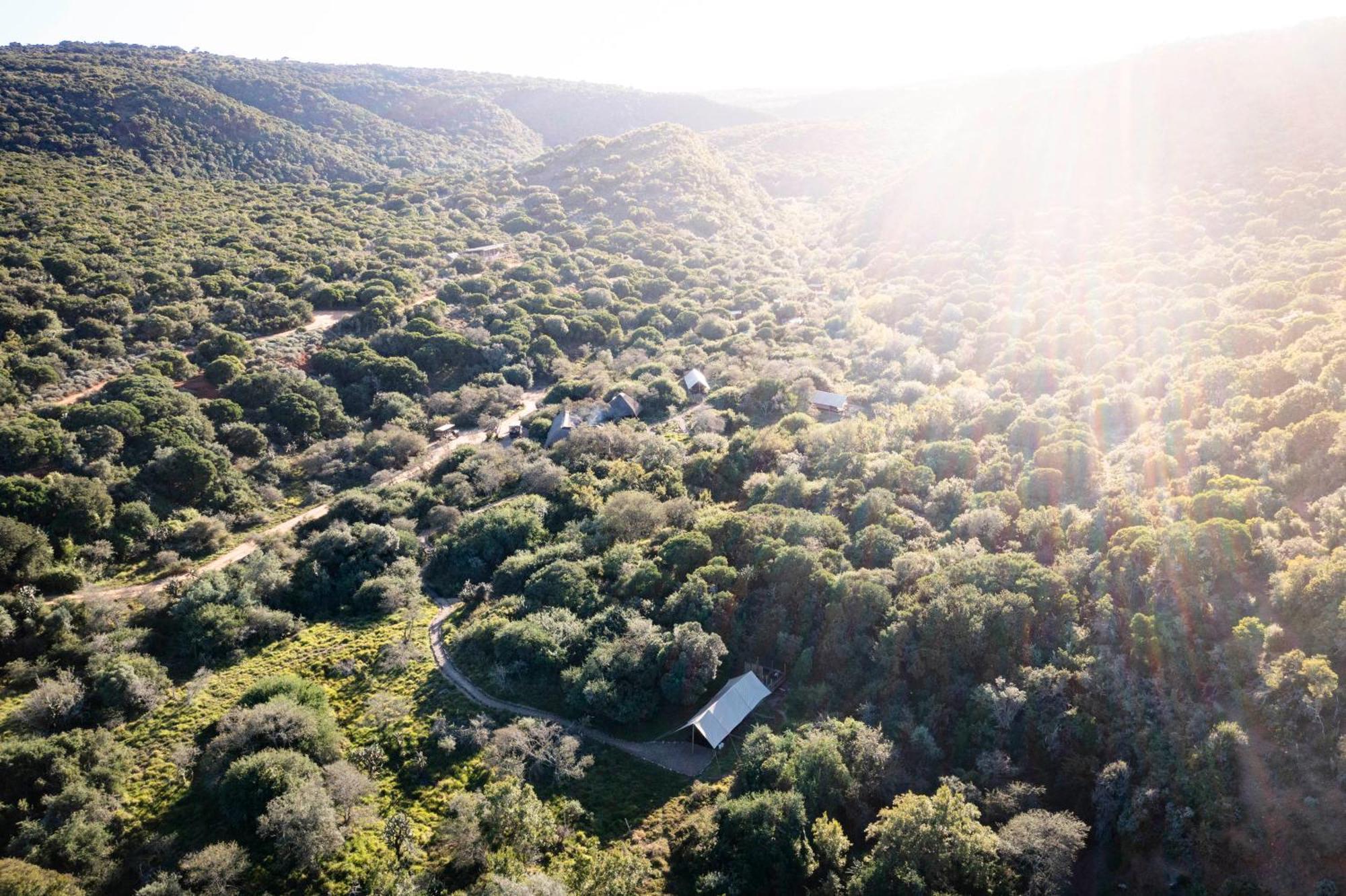 Quatermain'S 1920'S Safari Camp - Reserva de Amakhala Exterior foto