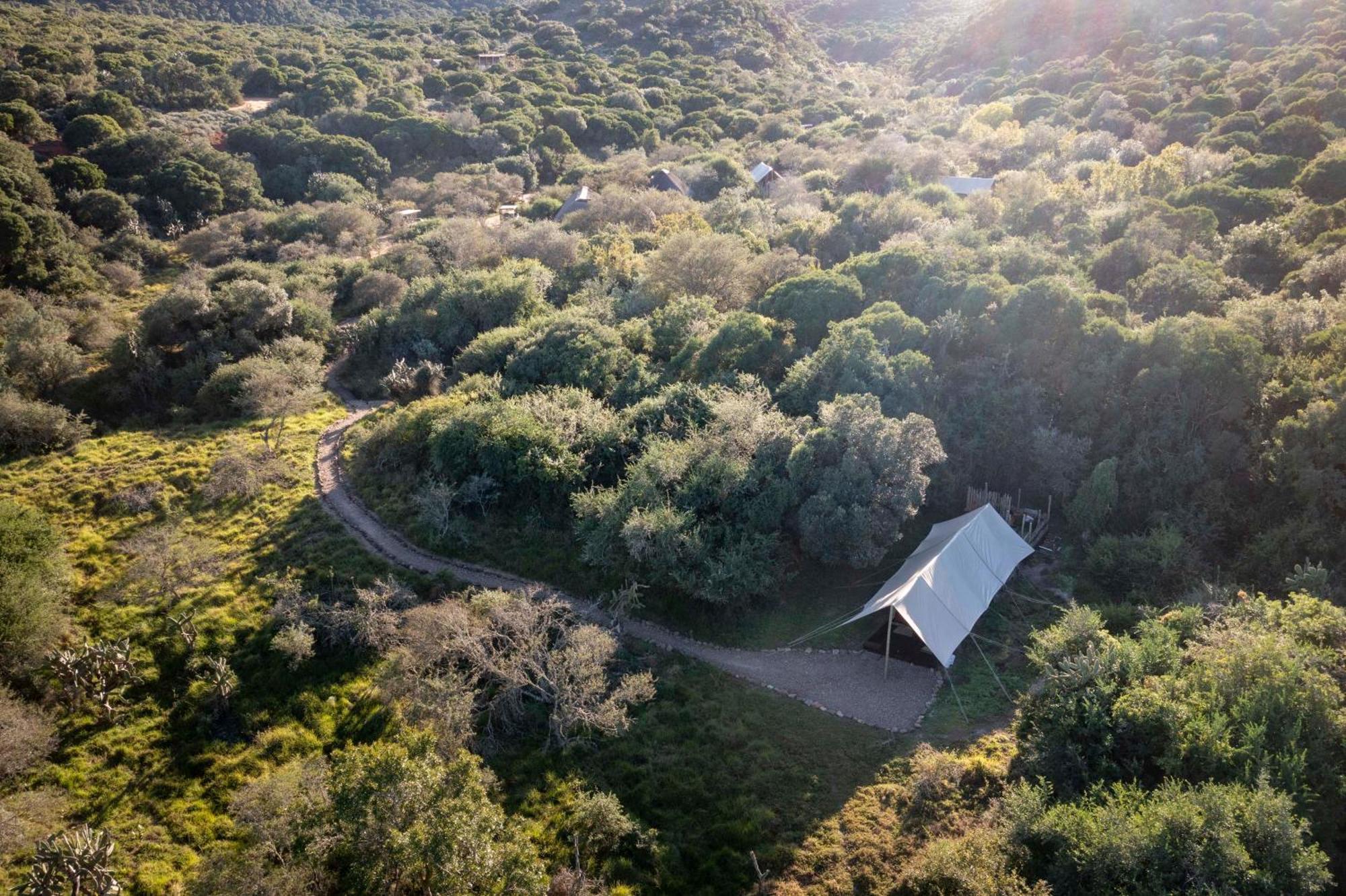 Quatermain'S 1920'S Safari Camp - Reserva de Amakhala Exterior foto