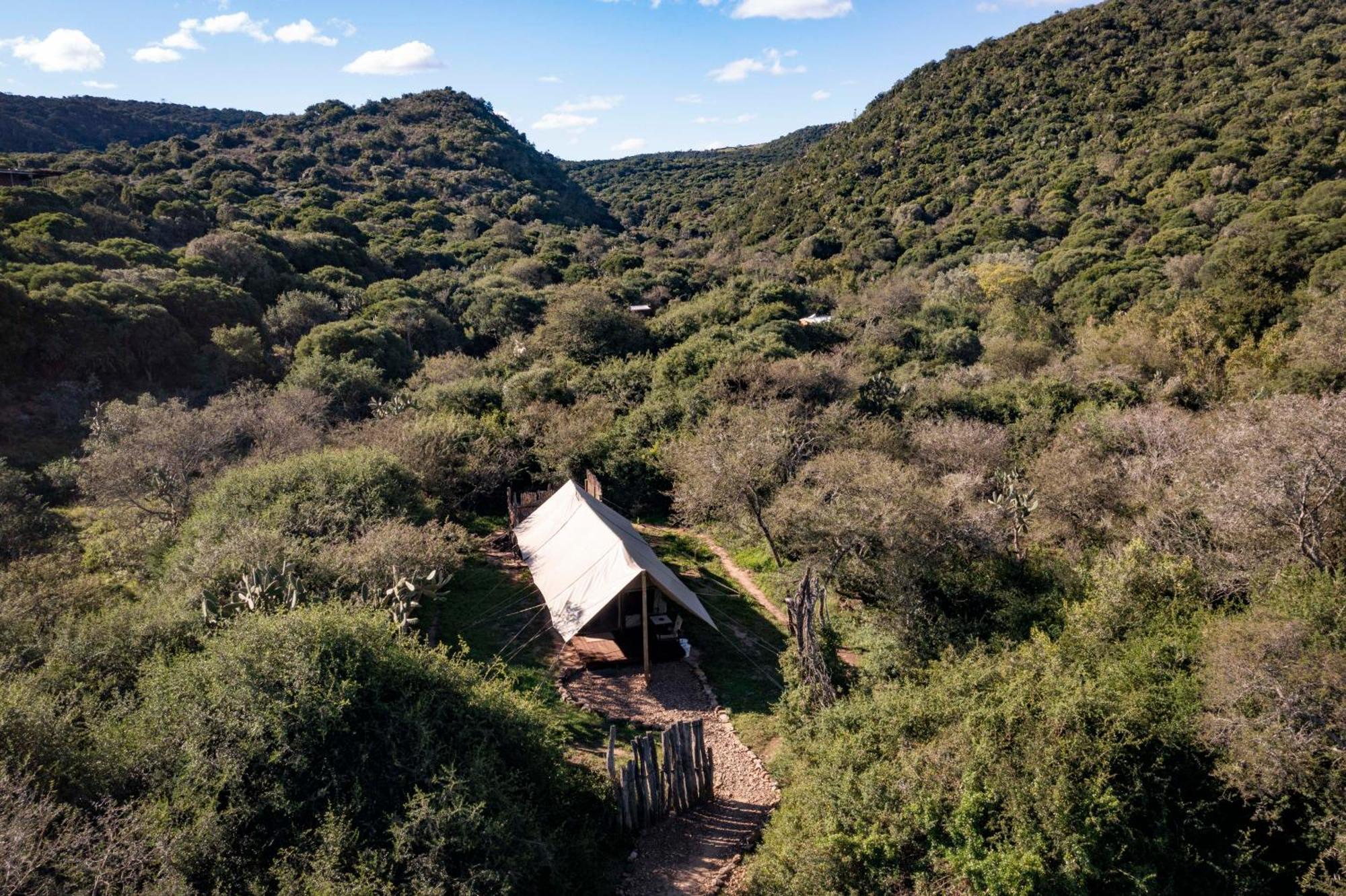 Quatermain'S 1920'S Safari Camp - Reserva de Amakhala Exterior foto